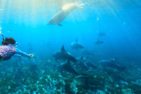 IMG-20230614-WA0005 (1)