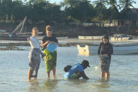Sea Grass Monitoring 3