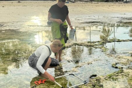 Sea Grass Monitoring 4