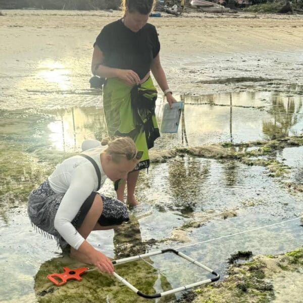 Sea Grass Monitoring 4