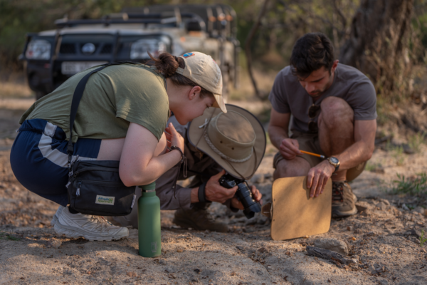 Wildlife Research Wildlife Research