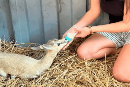 conservation efforts - 006