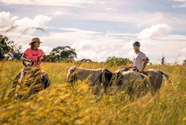 Two individuals horseback riding in a field