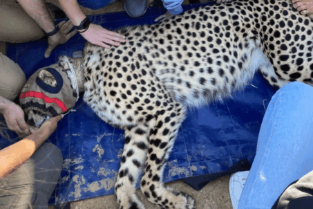 gain experience - 003