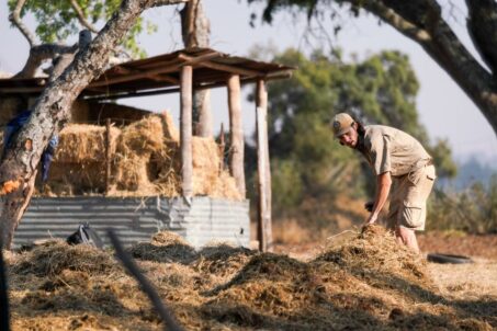 A man shoveling dried grass