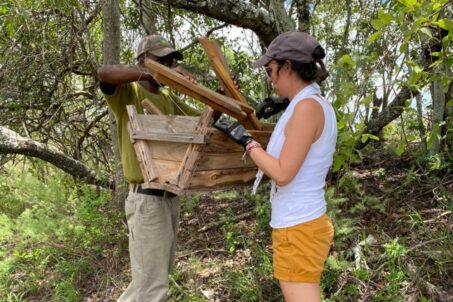 Volunteers carrying items