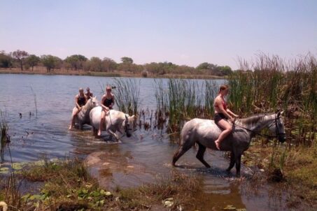 a group of people having a horseback riding