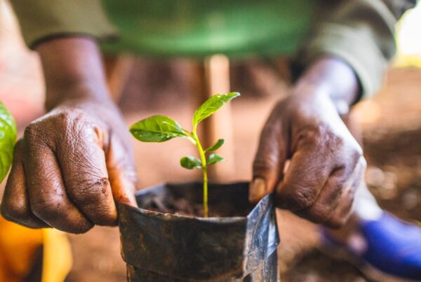 hands holding a plastic pot with a plant