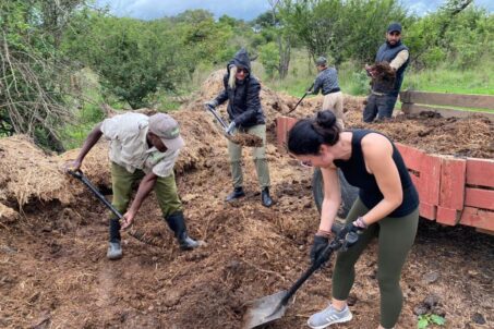 volunteers doing a construction work