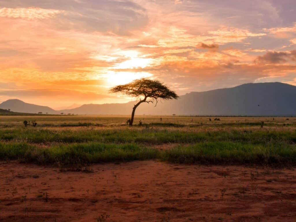 stunning-terrain