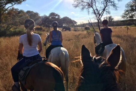 People horseback riding in a field