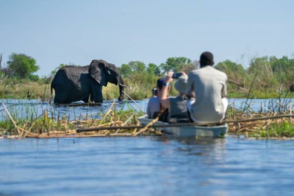 Mokoro Excursion Mokoro Excursion