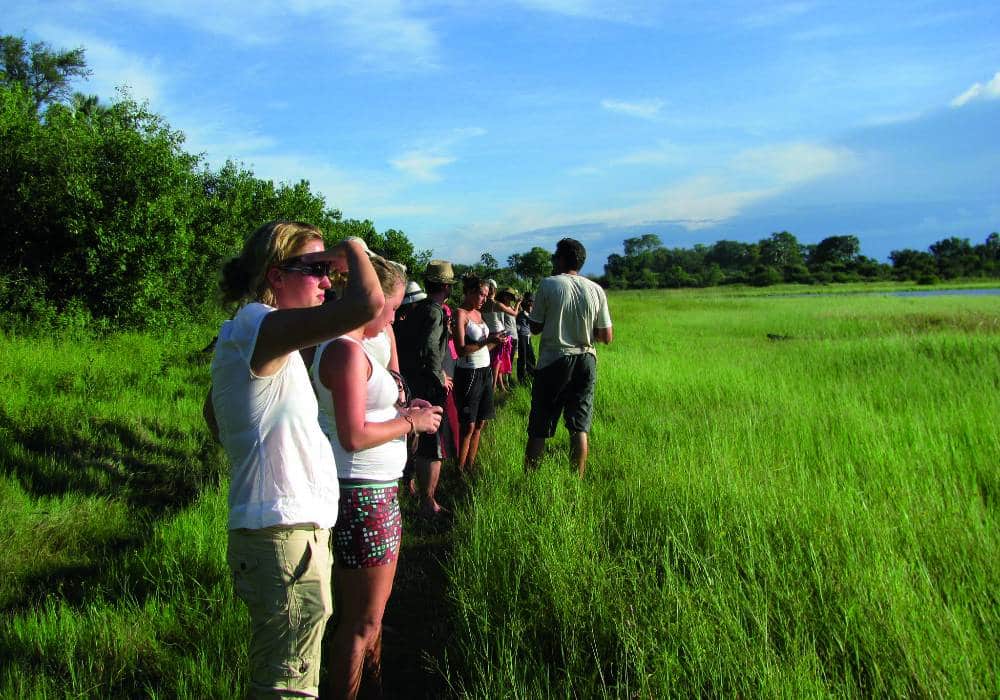 Okavango Delta - Walk
