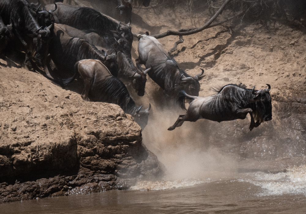 AdobeStock_314932480