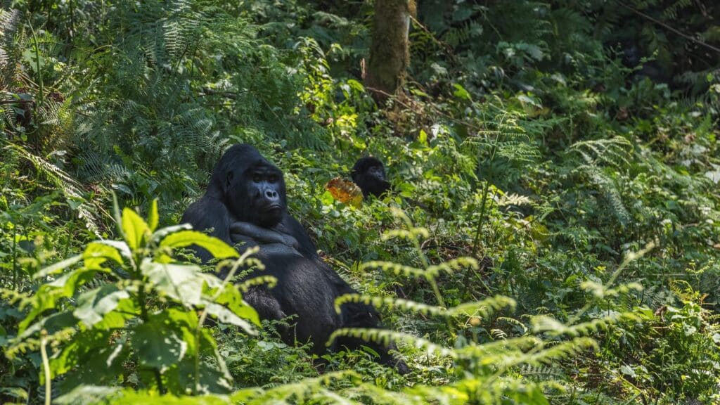 AdobeStock_467654843(1)