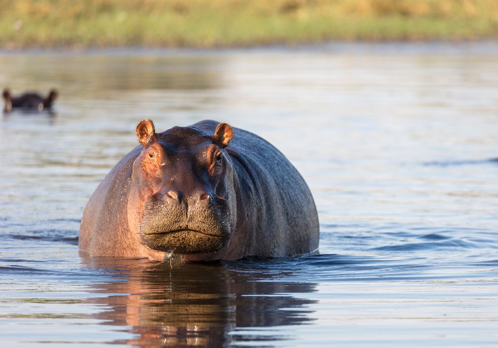 AdobeStock_128909757