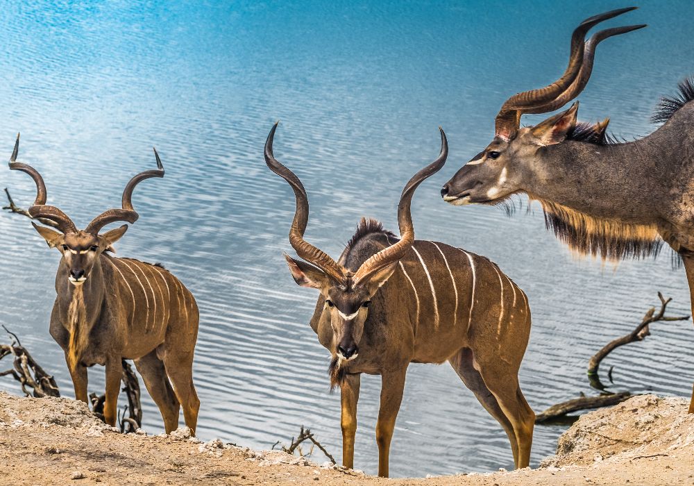 AdobeStock_183386338