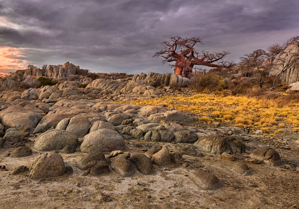 AdobeStock_231230516