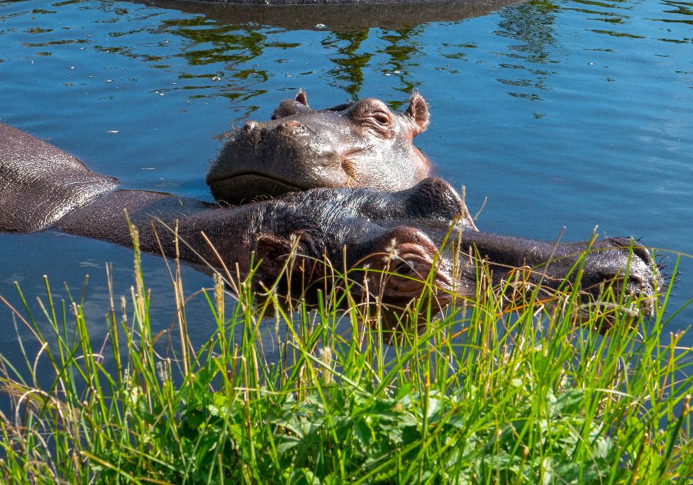 AdobeStock_237903591