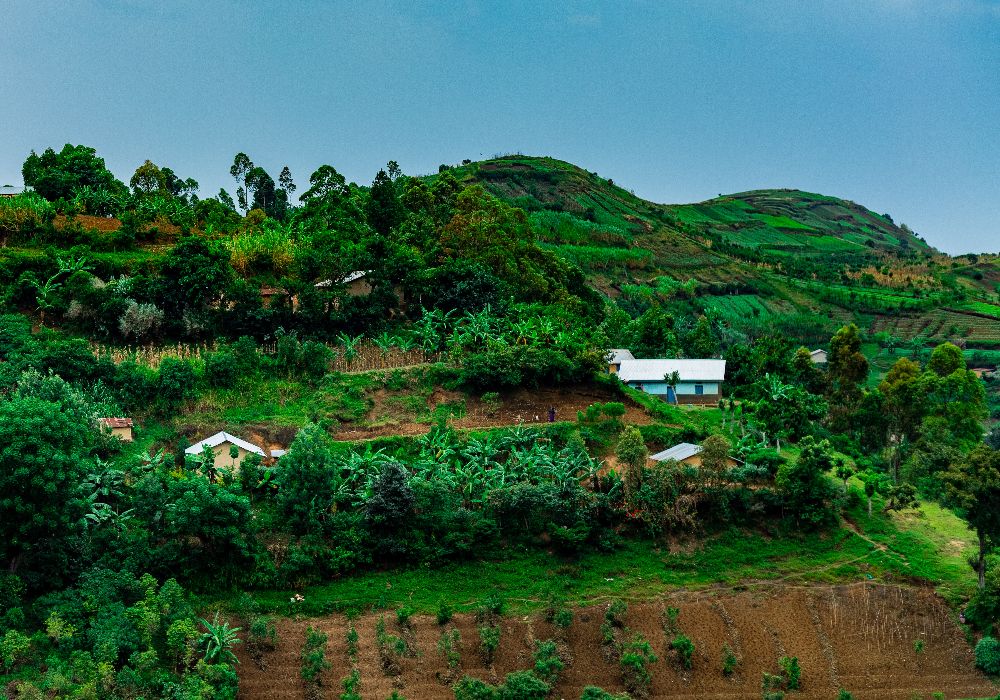 AdobeStock_286785092