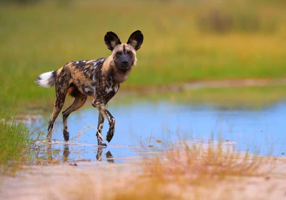 AdobeStock_291468256