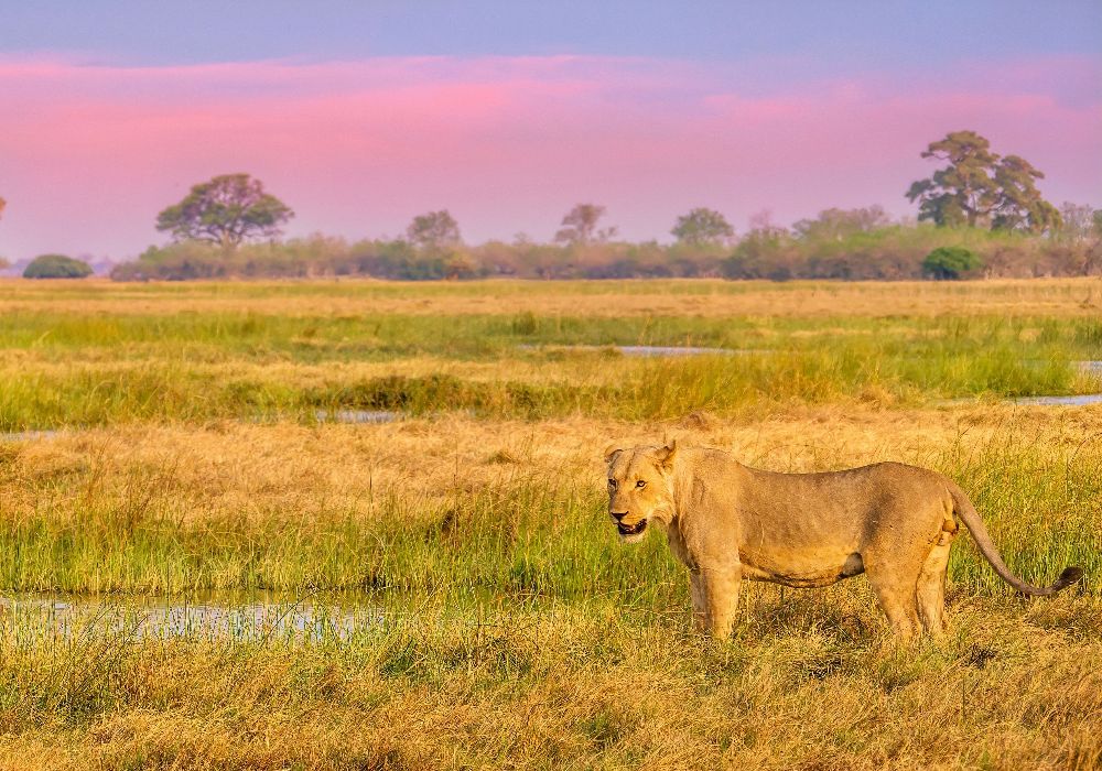 AdobeStock_311970473