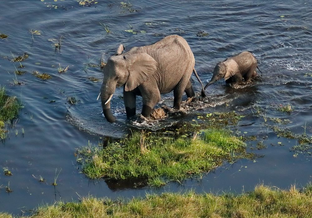 AdobeStock_383024617