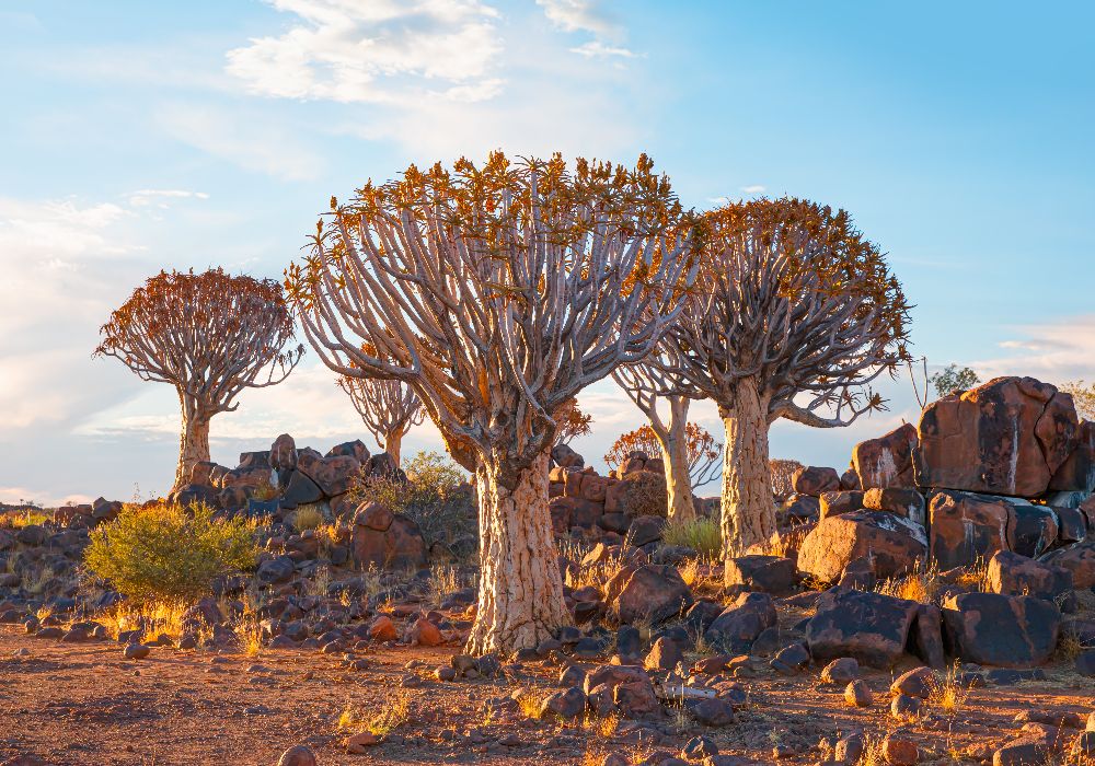 AdobeStock_474052155