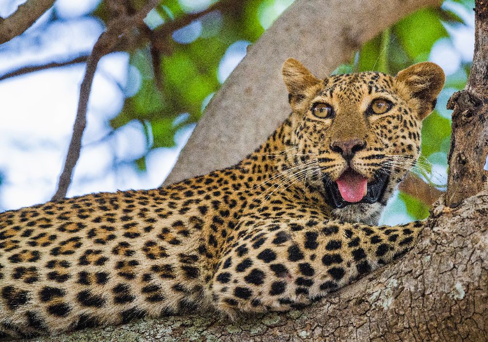 AdobeStock_646924083