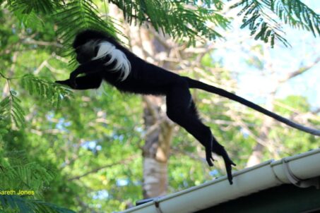 476031711_9184754711605151_2370276756005021711_n