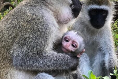 476806608_9239529612794327_7716646007239564799_n