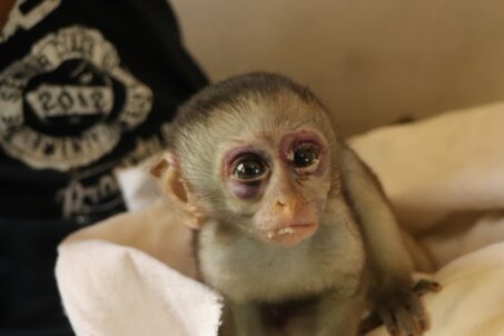 477601256_9249040728509882_3953285764647561296_n