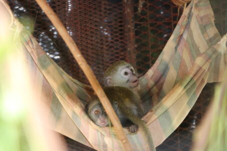 480866785_9329436143803673_1200930358090577513_n