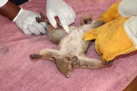 481219224_9359145420832745_2765403784071029322_n