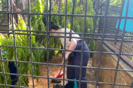 IMG-20250521-WA0190(1)