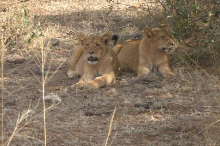 WhatsApp Image 2025-12-24 at 08.55.27