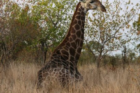 WhatsApp Image 2025-12-24 at 08.55.30