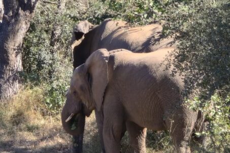 WhatsApp Image 2025-12-24 at 08.55.31