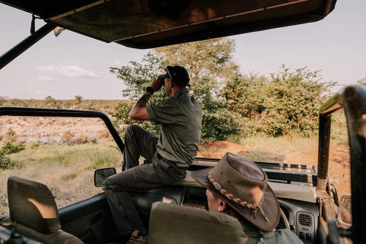 Wildlife research in Mthimkulu Game Reserve, Greater Kruger, South Africa