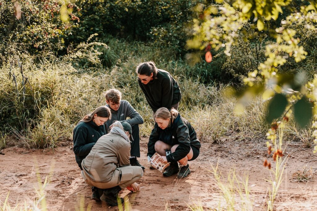 Wildlife research in Mthimkulu Game Reserve, Greater Kruger, South Africa