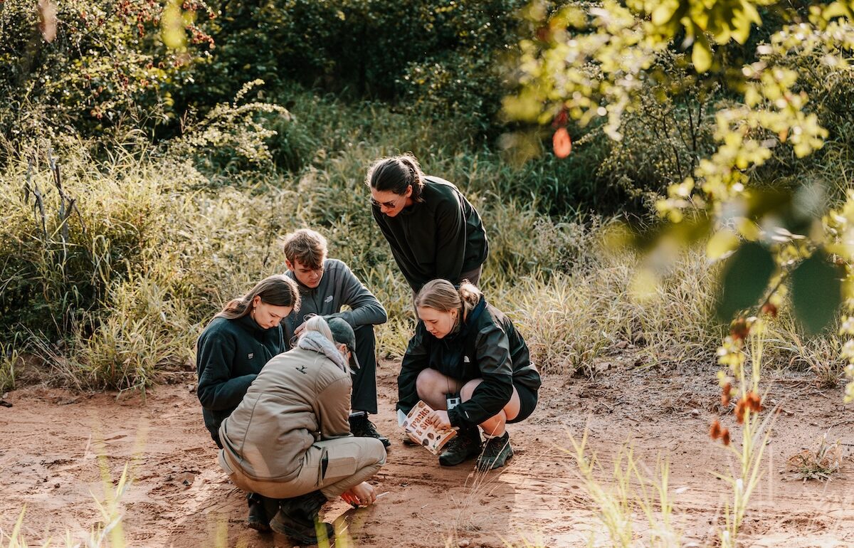 Wildlife research in Mthimkulu Game Reserve, Greater Kruger, South Africa