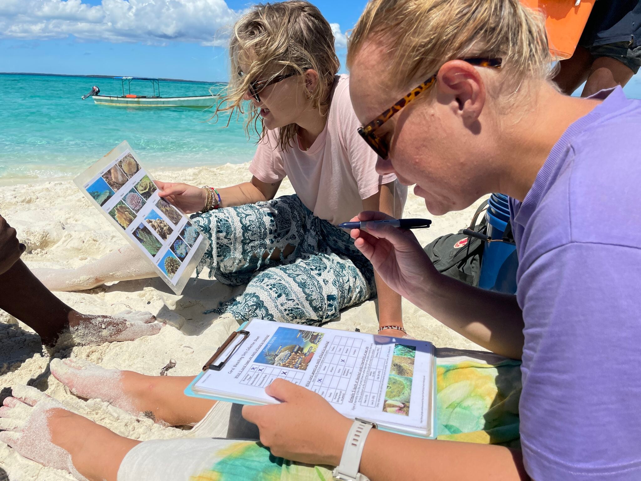 Dolphin & Marine Conservation Volunteer in Zanzibar