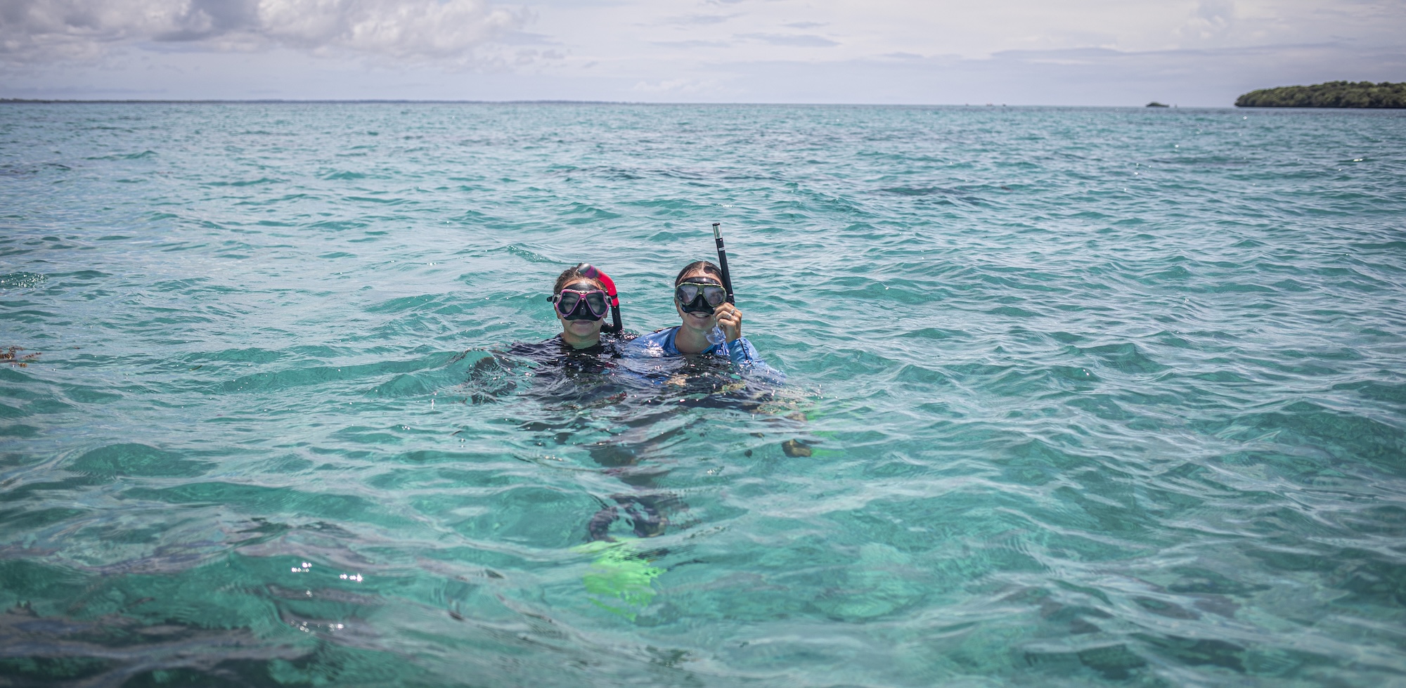 dolphin monitoring in Zanzibar