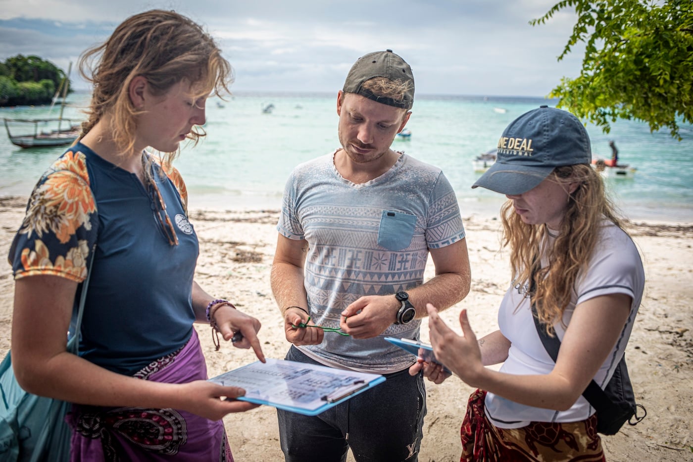 dolphin monitoring in Zanzibar