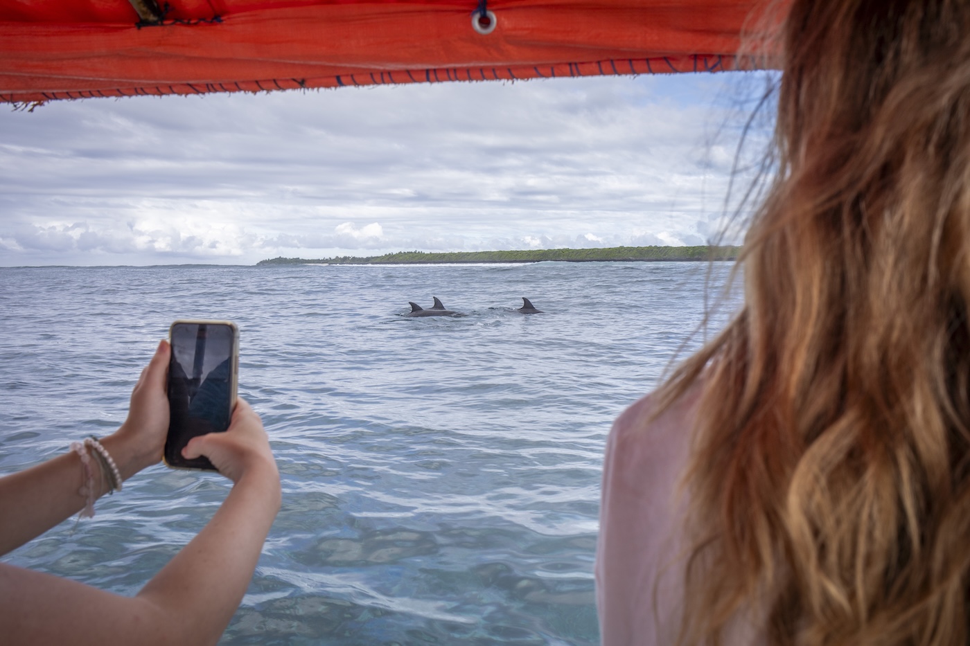 dolphin monitoring in Zanzibar
