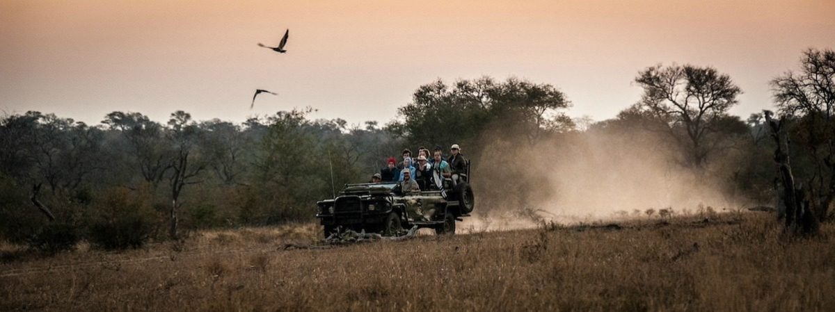 wildlife-photography-birds-volunteer-african-impact