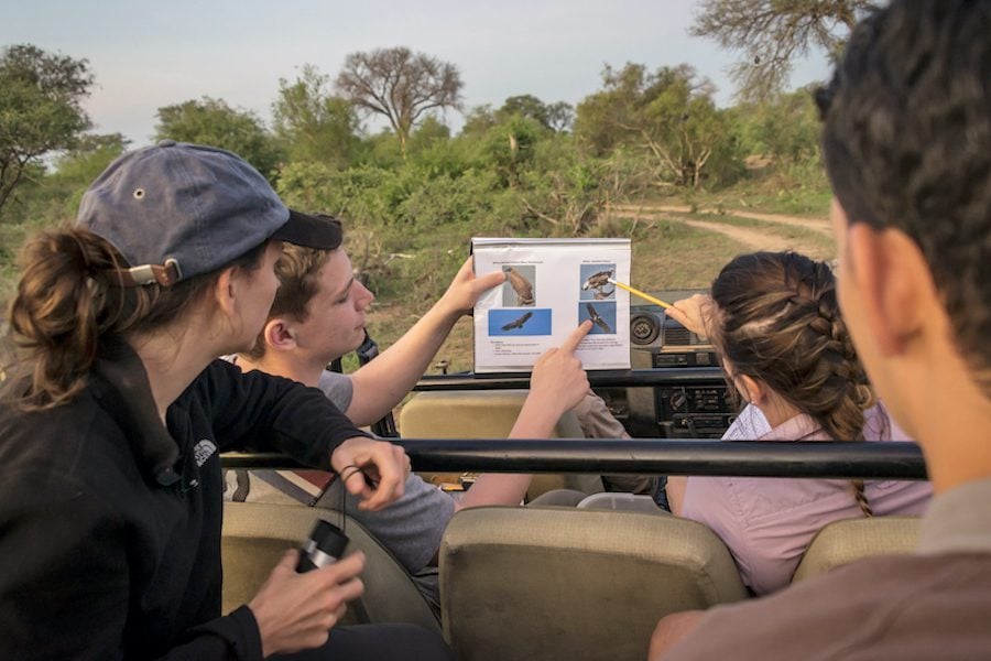 wildlife-photography-birds-volunteer-african-impact-14